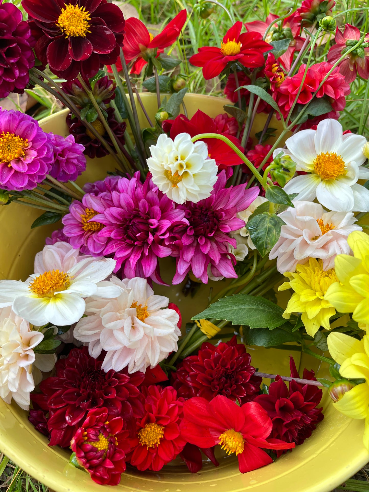 Blooms + Bath Flower Subsription