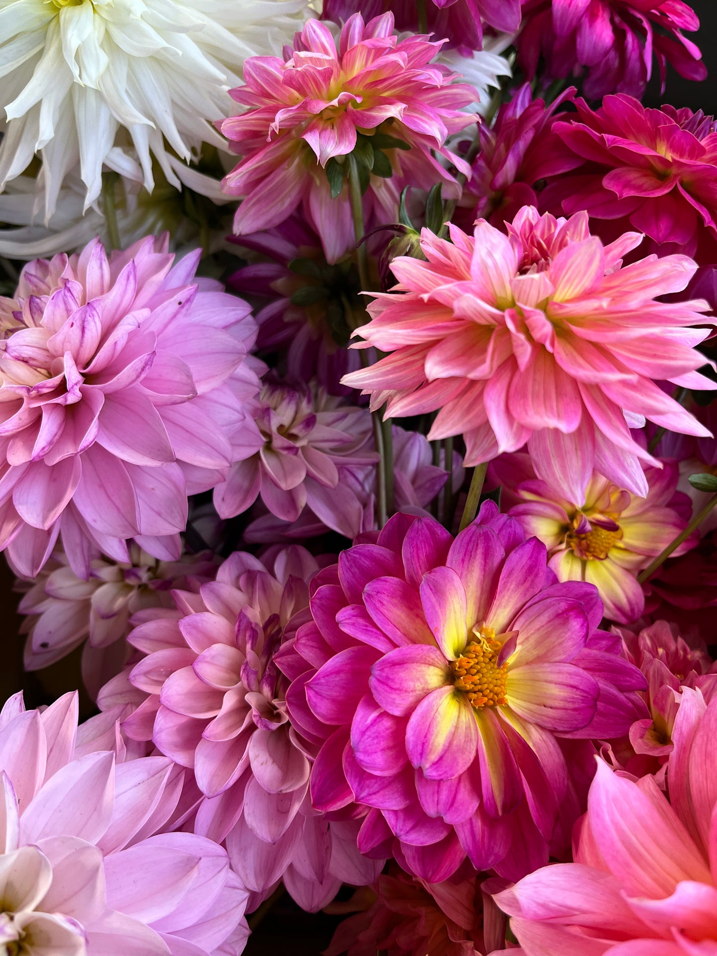Blooms + Bath Flower Subsription