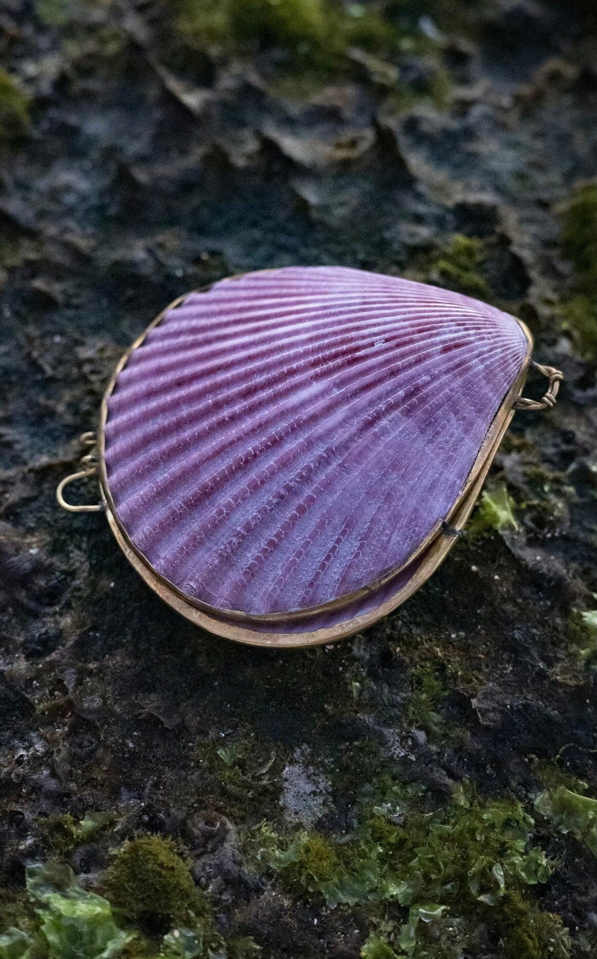 Shell Jewelry Locket Trinket Pill Box for Mermaids at Heart! Perfect to hold jewelry while traveling or for your wedding ring photos