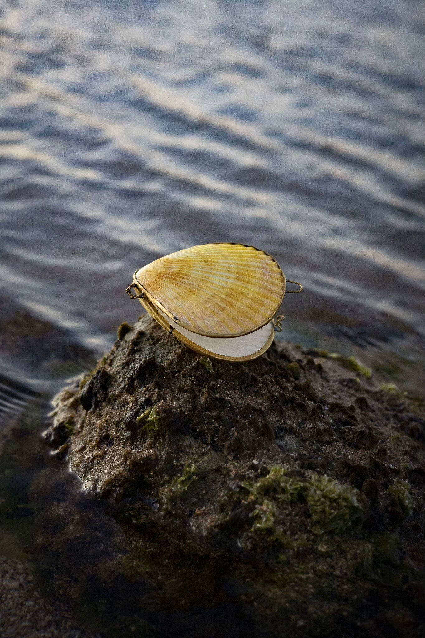 Shell Jewelry Locket Trinket Pill Box for Mermaids at Heart! Perfect to hold jewelry while traveling or for your wedding ring photos
