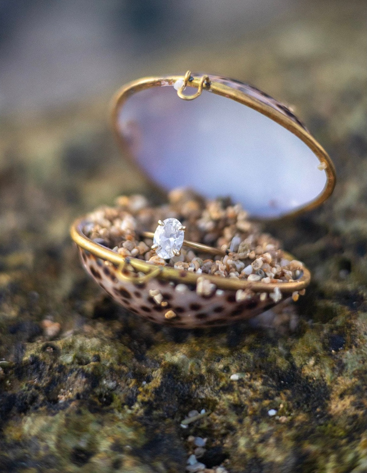 Shell Jewelry Locket Trinket Pill Box for Mermaids at Heart! Perfect to hold jewelry while traveling or for your wedding ring photos