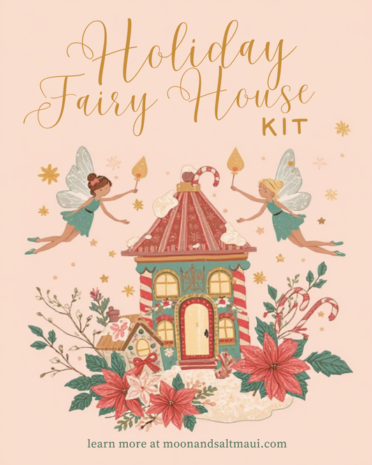 Holiday Fairy House Kit