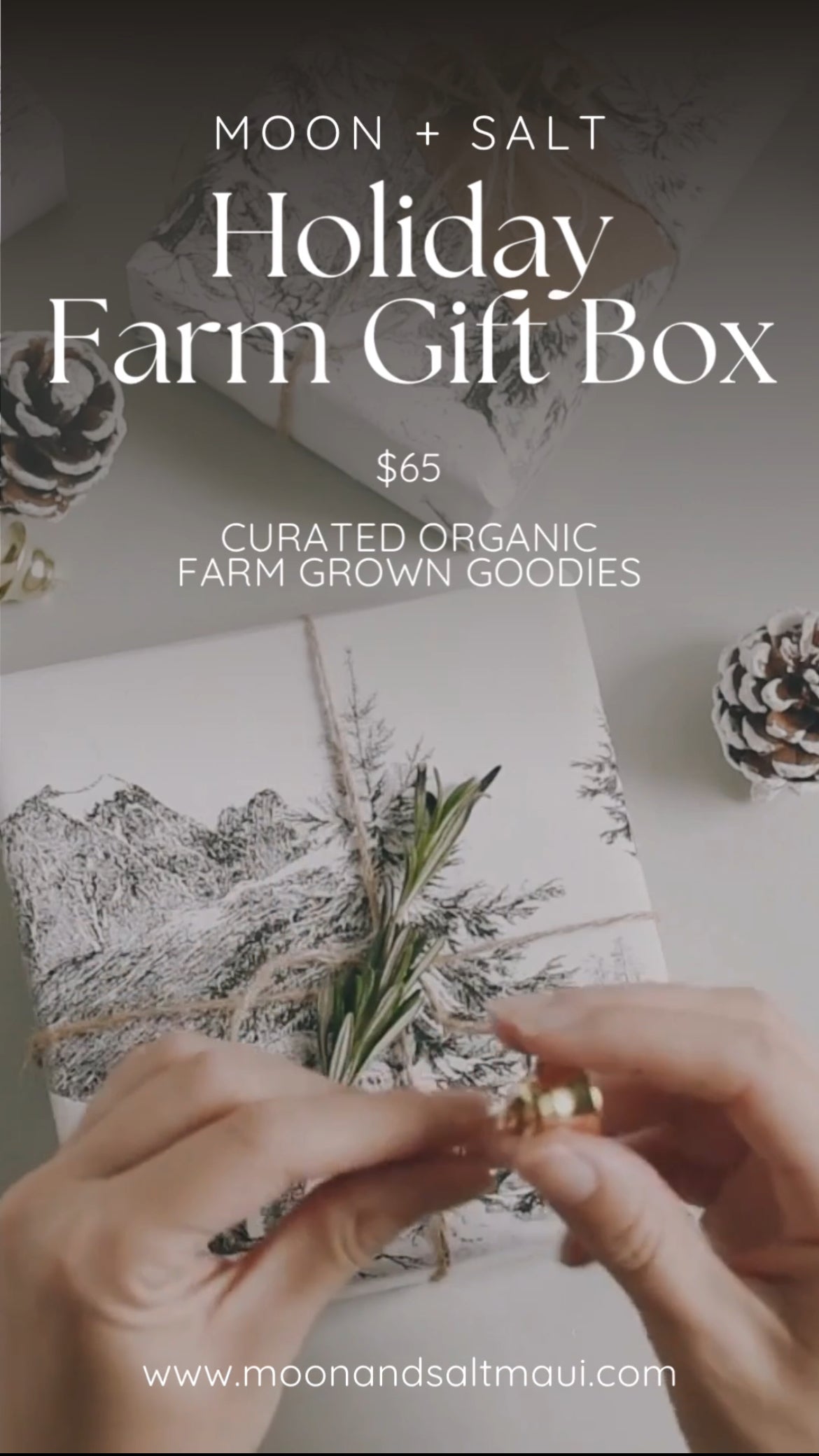 Holiday farm box